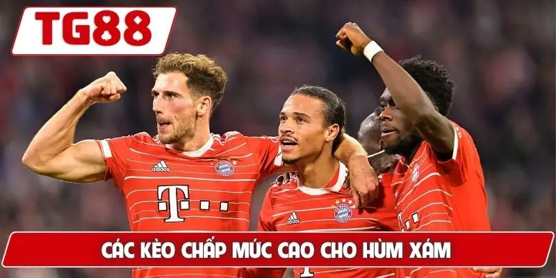 Bayern Munich Cập Nhật Kèo Cược Bayern Munich Đêm Nay Ở TG88 9 Các kèo chấp mức cao cho Hùm xám