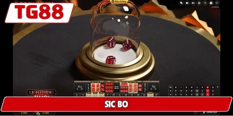 Cược Sic Bo Hấp Dẫn Tại TG88 - Cơ Hội Thắng Lớn Mỗi Ngày 5 Sic Bo